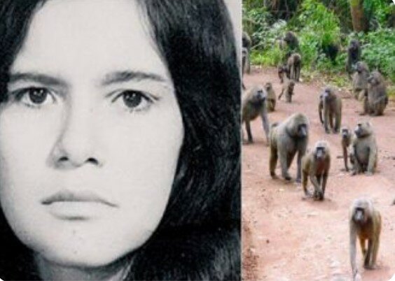 Příběh o Marině, kterou 5 let vychovávaly opice