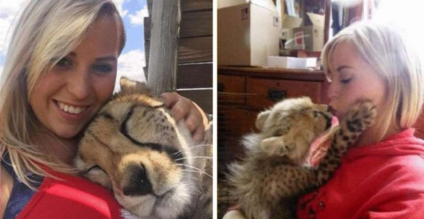 "Nemohla jsem ho dát do útulku": jak dívka zachránila život velké dravé kočky