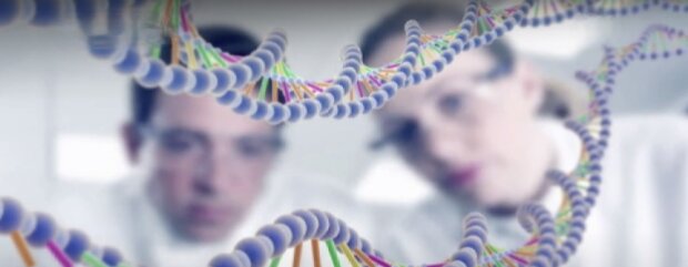 DNK člověka / Zdroj: YouTube