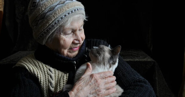 „Moje kočka často porodí, vyléčí ji“: starší žena předala zvíře veterinárnímu lékaři, což ho velmi překvapilo